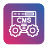 CMS Website Development Services - Oasys Technology, Kolhapur